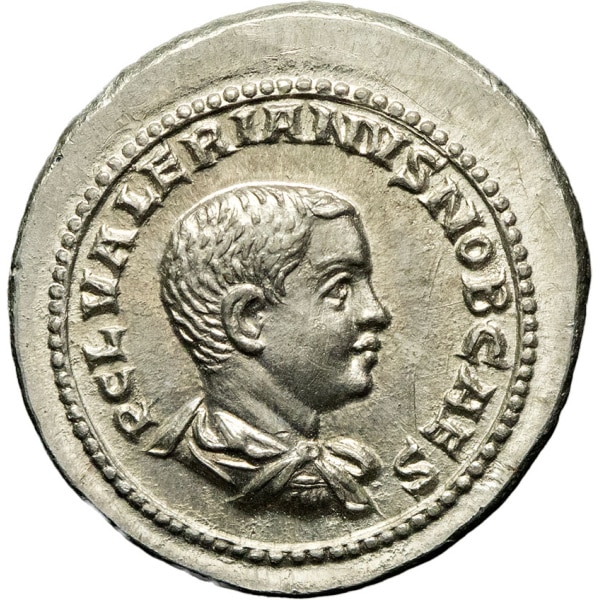 Lot 261