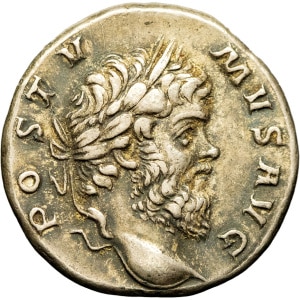 Lot 264