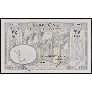 Lot 528