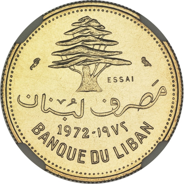 Lot 1541