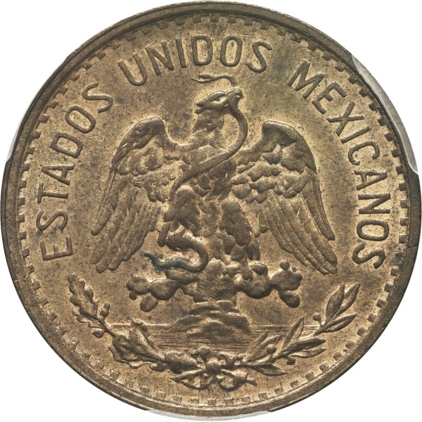 Lot 1559