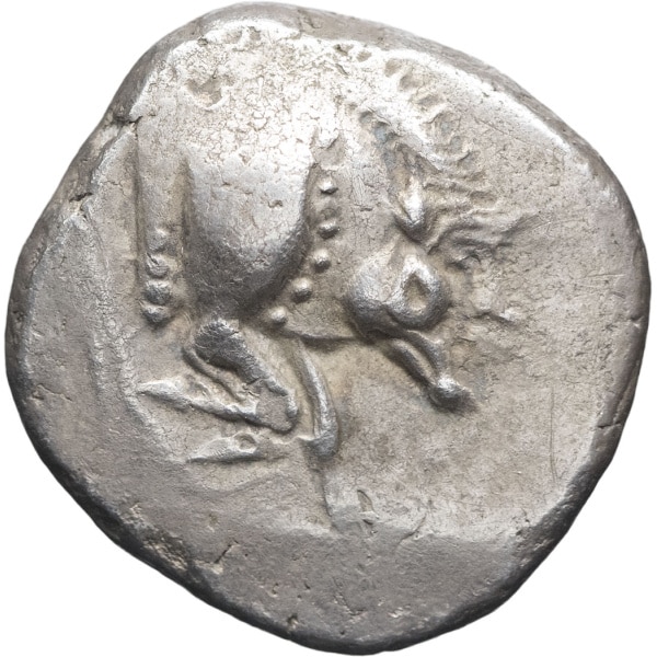 Lot 29