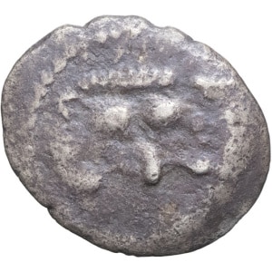 Lot 31