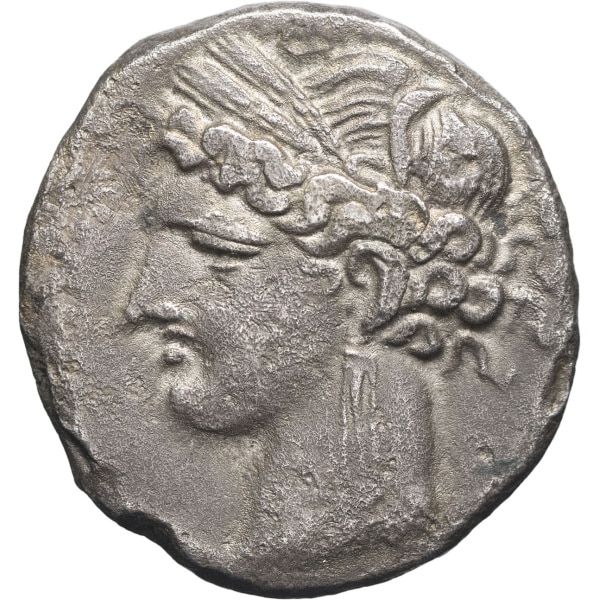 Lot 56