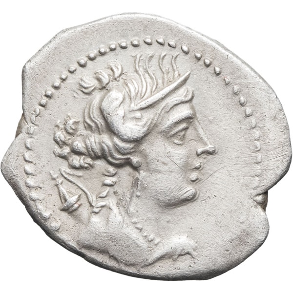 Lot 59