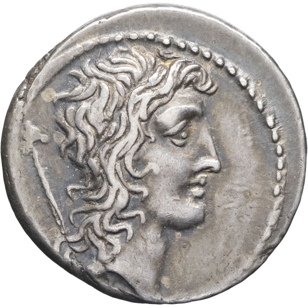 Lot 113
