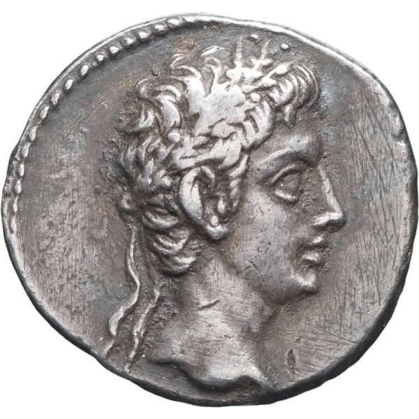 Lot 135