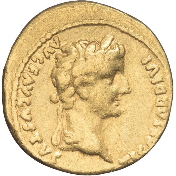Lot 153