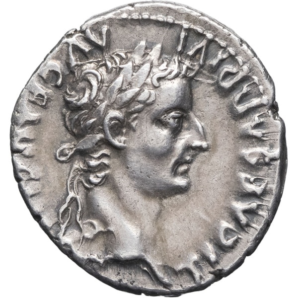 Lot 154