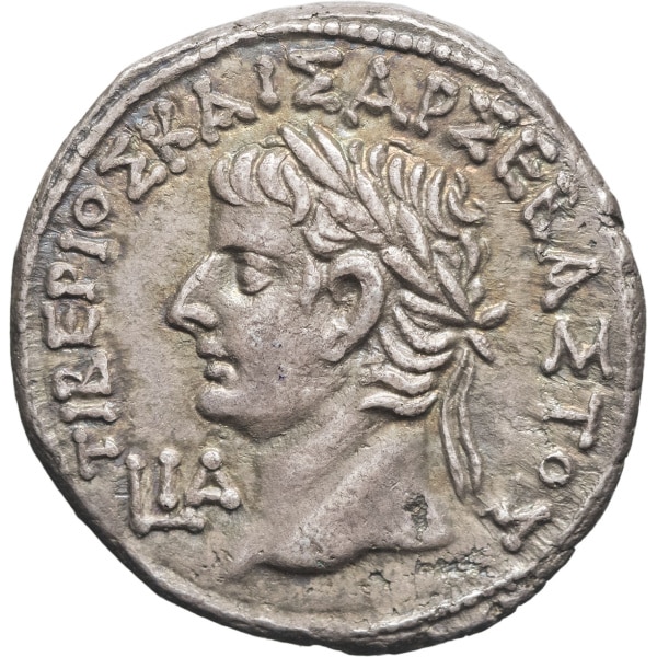 Lot 164