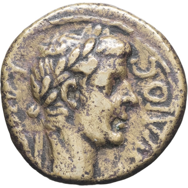 Lot 182