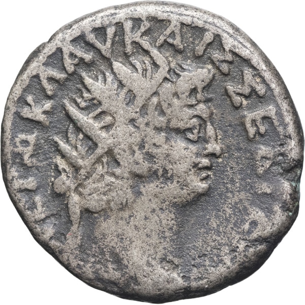 Lot 195