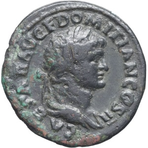 Lot 216