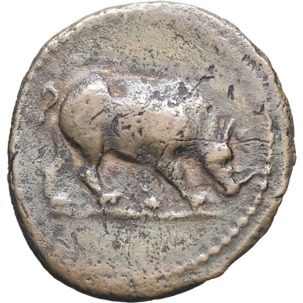 Lot 223