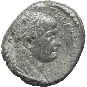 Lot 242