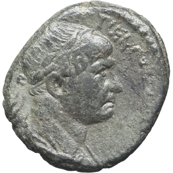 Lot 242