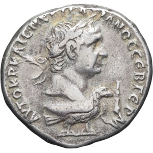 Lot 243