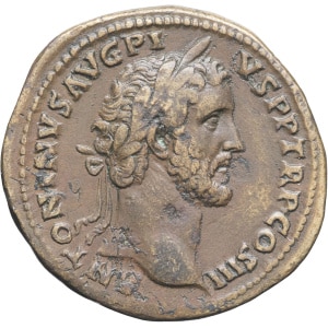 Lot 262