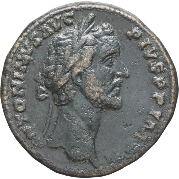 Lot 263