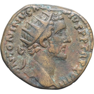 Lot 264
