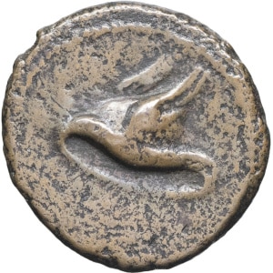 Lot 270