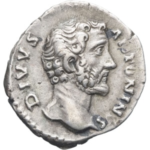 Lot 275