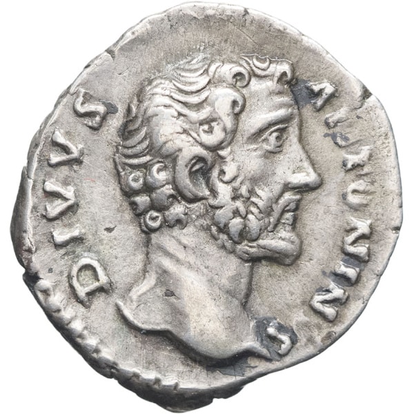 Lot 275