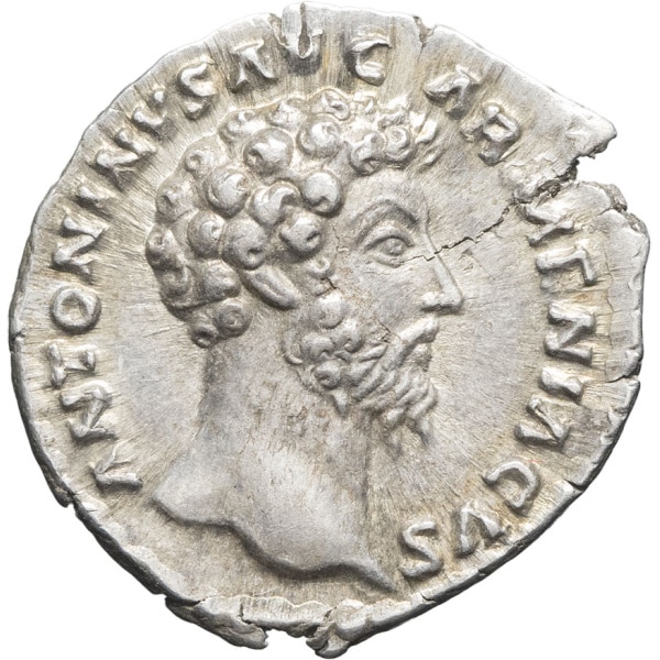 Lot 276