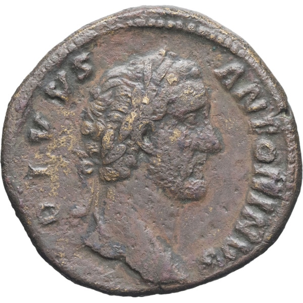 Lot 277