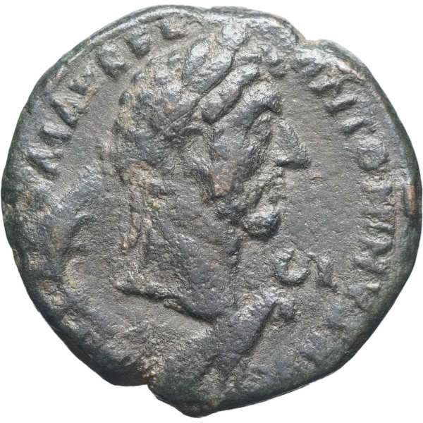 Lot 286
