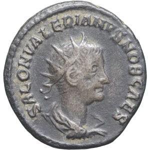 Lot 384