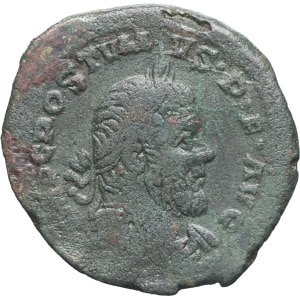 Lot 397