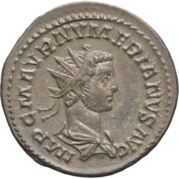 Lot 426