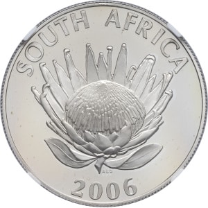 Lot 570