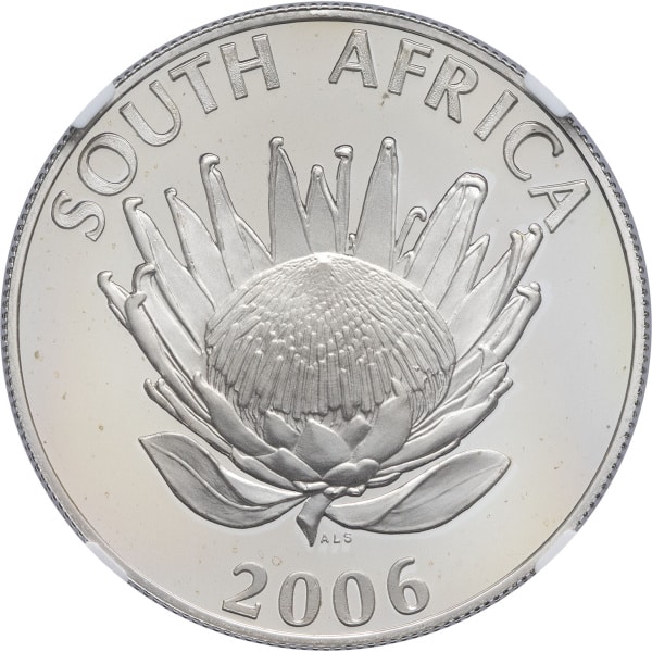 Lot 570