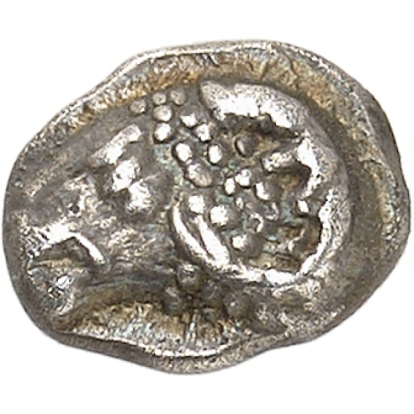Lot 197