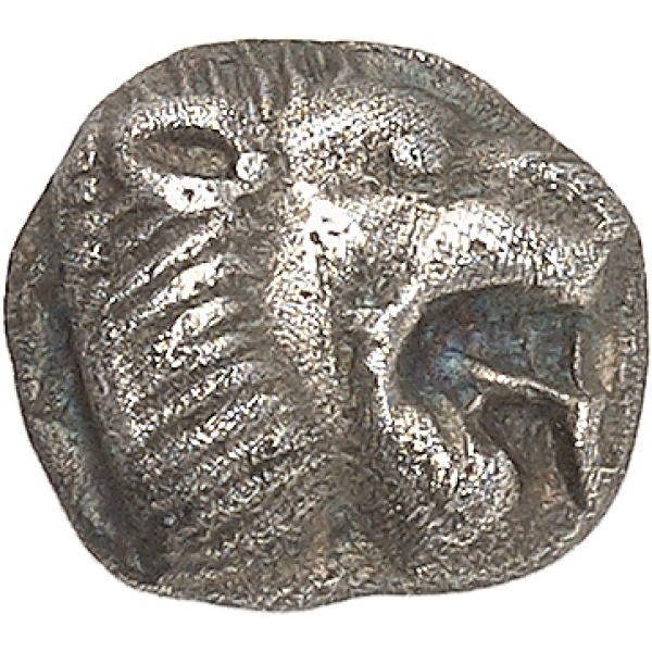 Lot 204