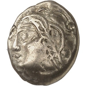 Lot 321