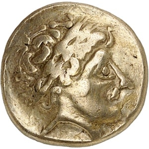 Lot 428