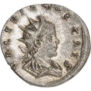 Lot 484