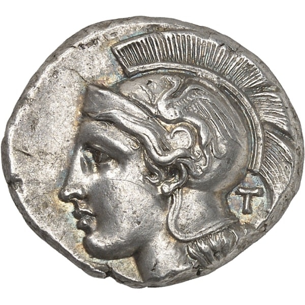 Lot 491