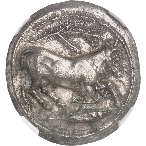 Lot 500