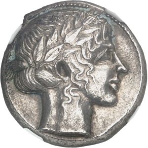 Lot 501