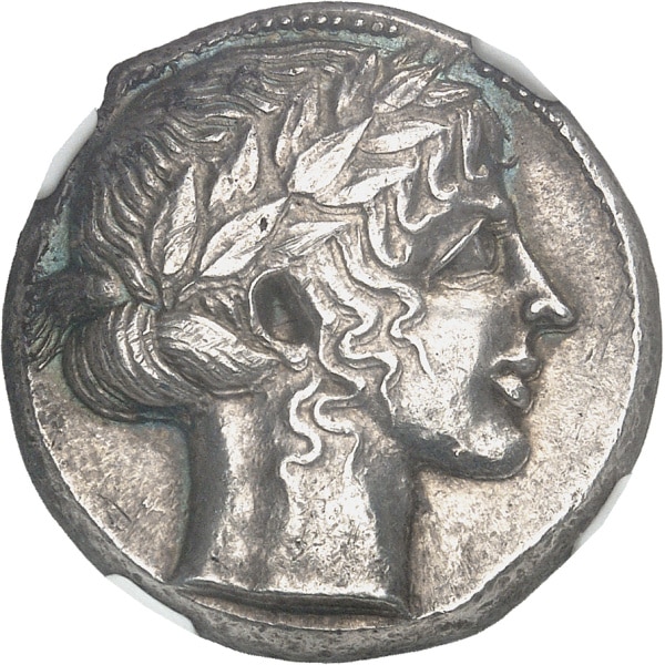 Lot 501