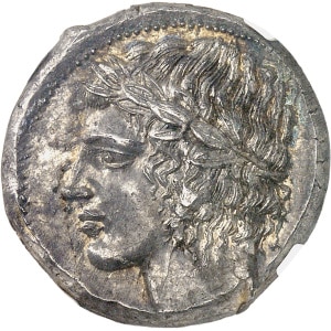 Lot 502