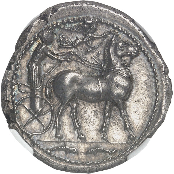 Lot 503