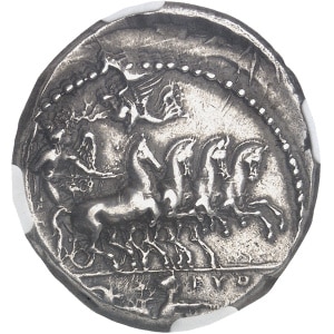 Lot 504