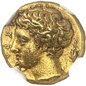 Lot 505