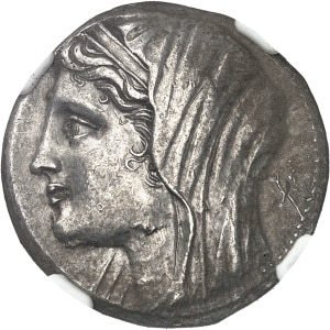Lot 509