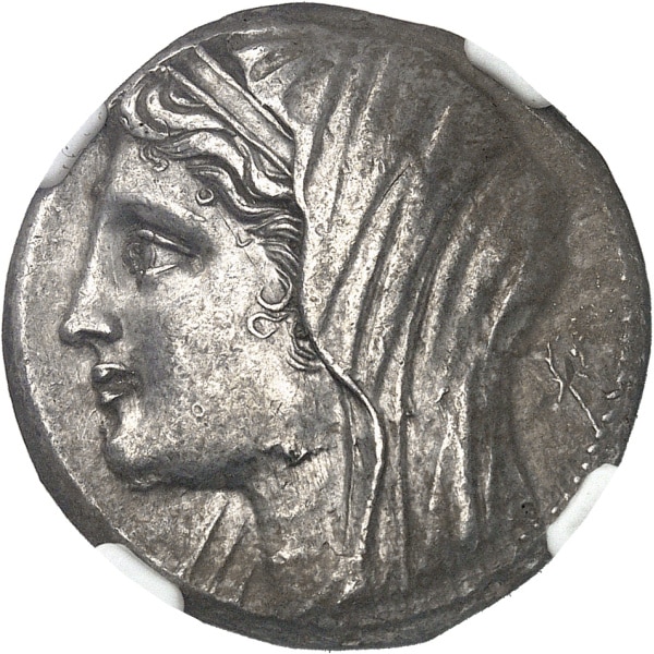 Lot 509